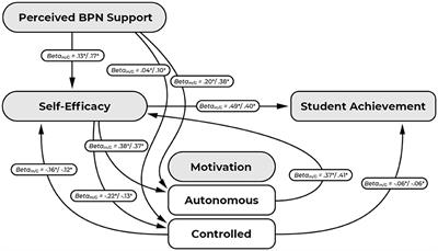 The role of self-efficacy, motivation, and perceived support of students' basic psychological needs in academic achievement